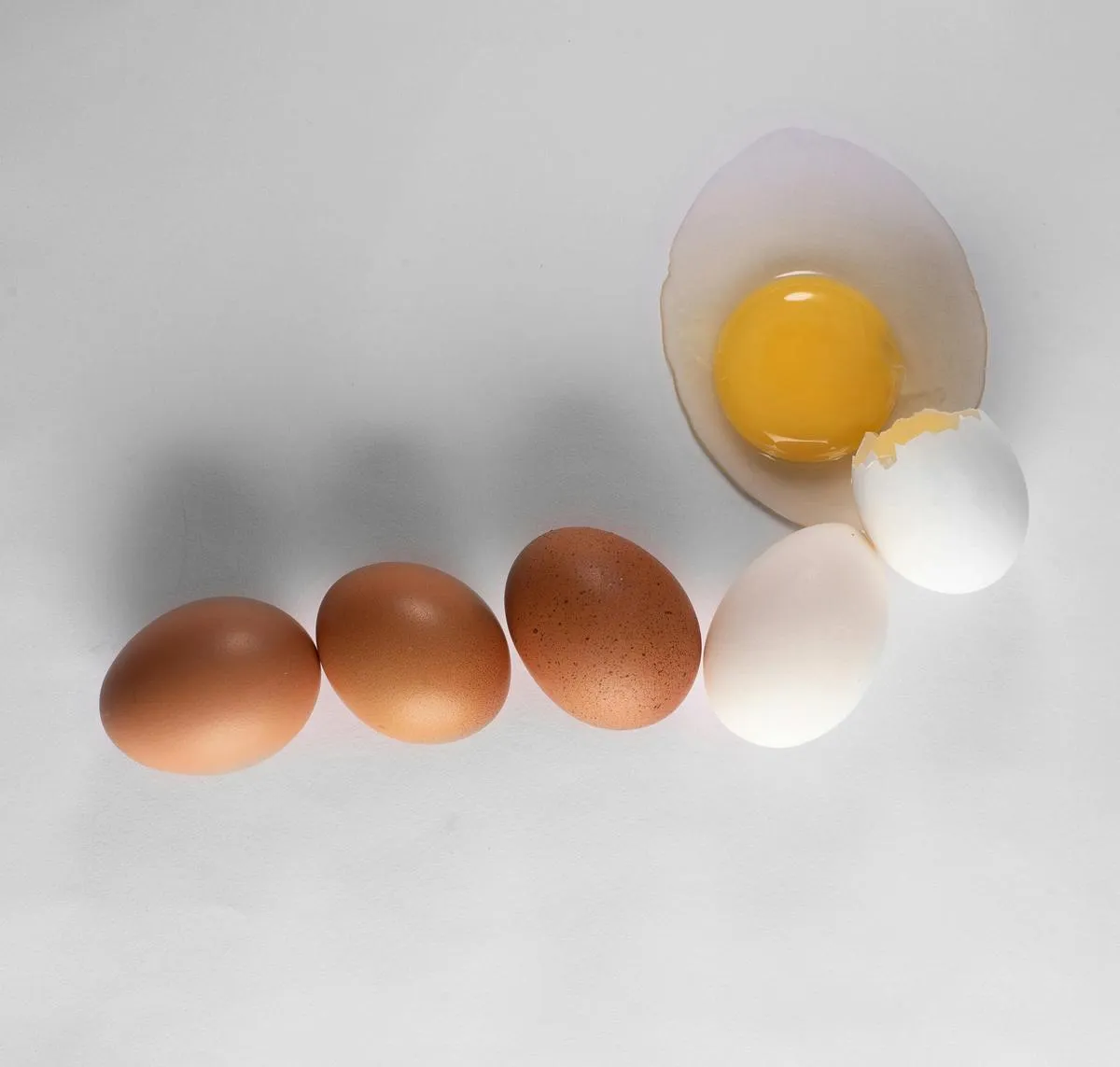 Protein rich foods for muscle building